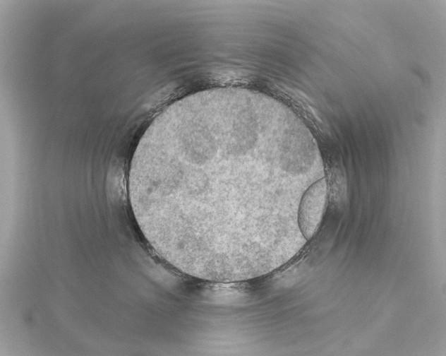 X0000114420622200911271557