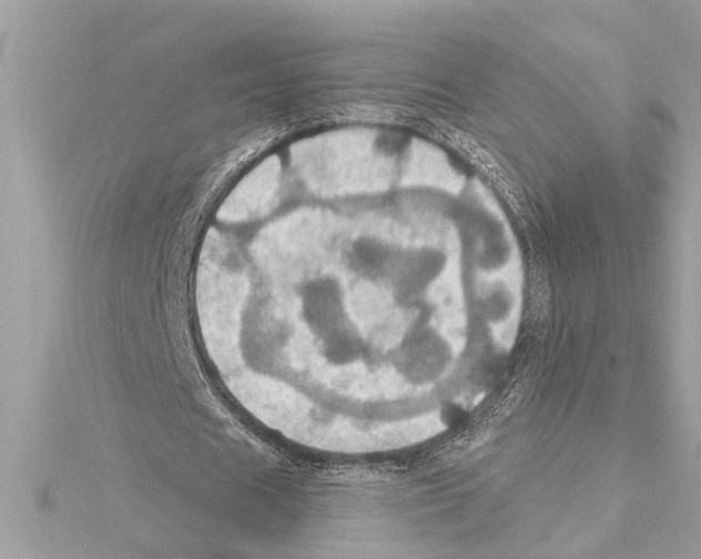 X0000114420625200911271557