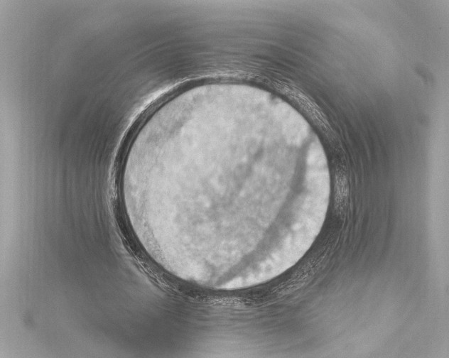 X0000114420628200911271557