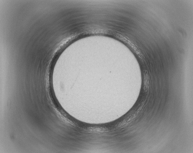 X0000114420629200911271557