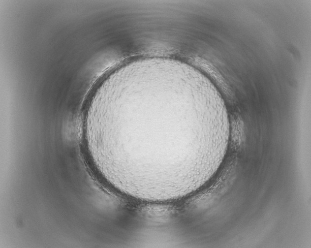 X0000114420632200911271557