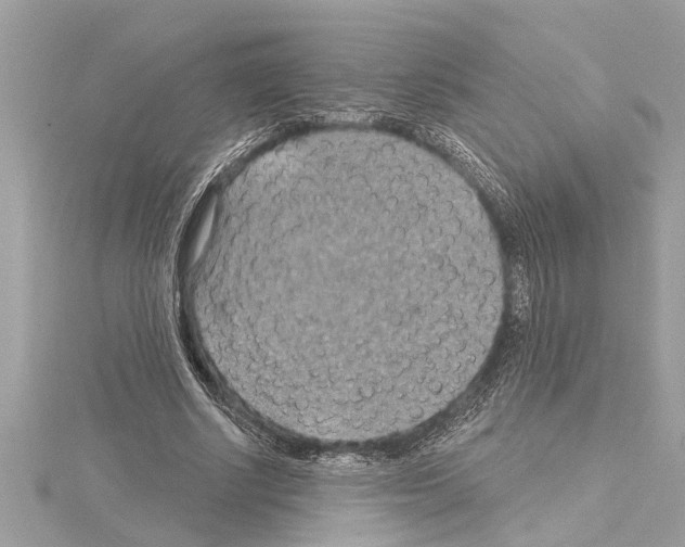 X0000114420634200911271557