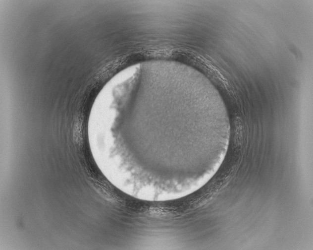 X0000114420641200911271557