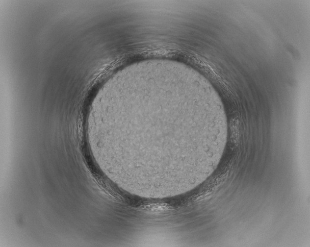 X0000114420642200911271557