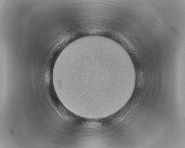 X0000114420644200911271557