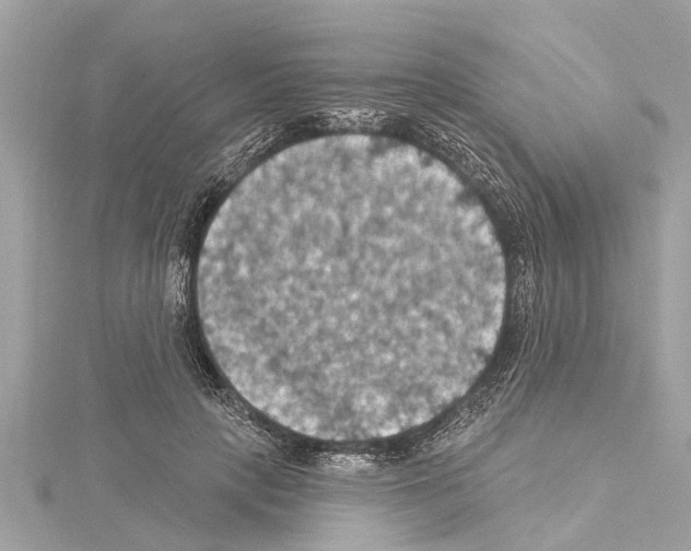 X0000114420649200911271557