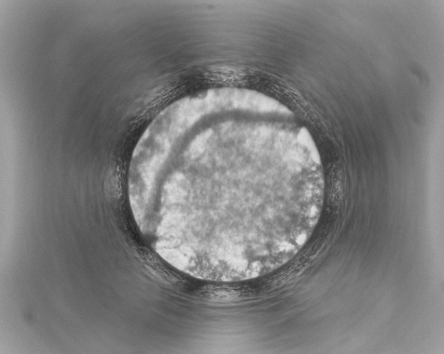 X0000114420658200911271557