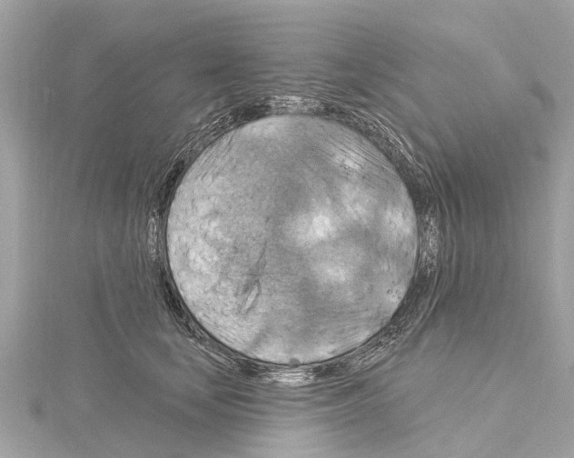 X0000114420659200911271557