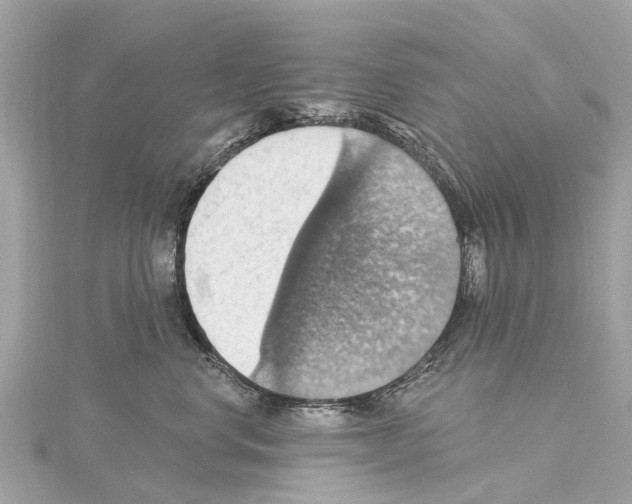 X0000114420668200911271557