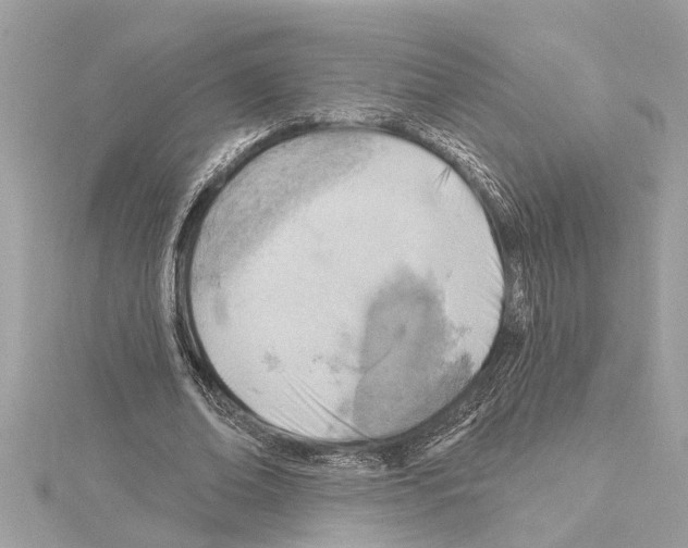 X0000114420678200911271557