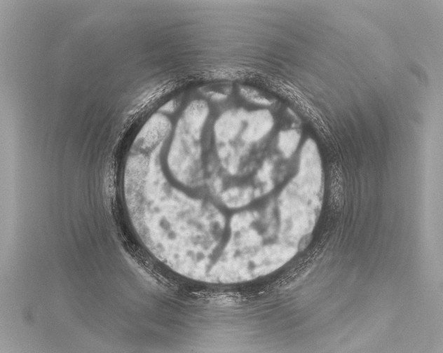 X0000114420683200911271557