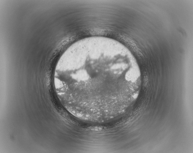 X0000114420687200911271557