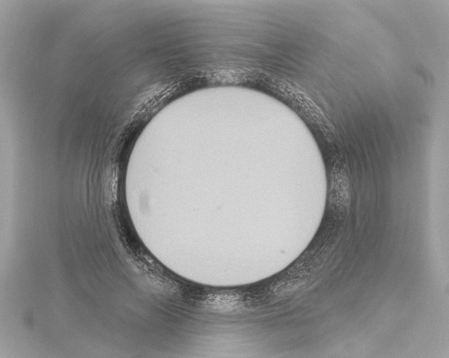 X0000114420694200911271557