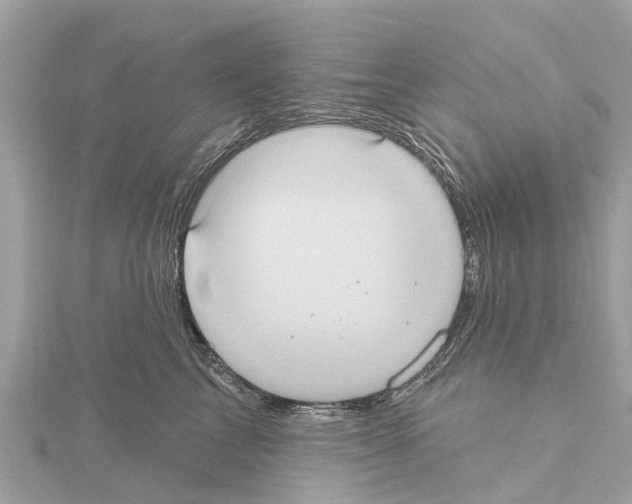 X0000114420713200911271556