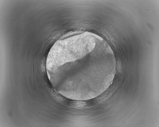 X0000114420719200911271556