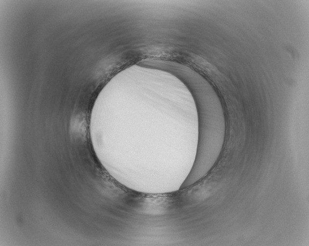 X0000114420720200911271556