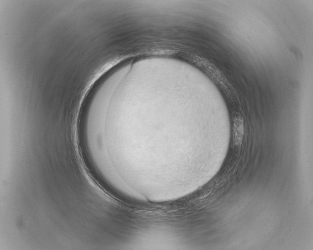 X0000114420726200911271556