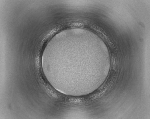 X0000114420729200911271556
