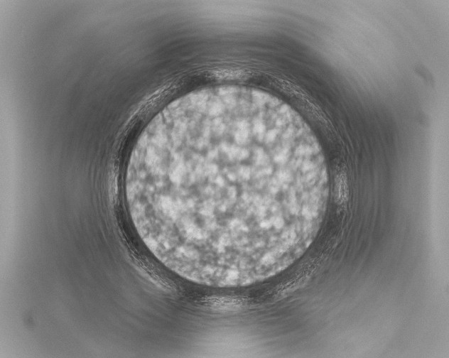 X0000114420733200911271556