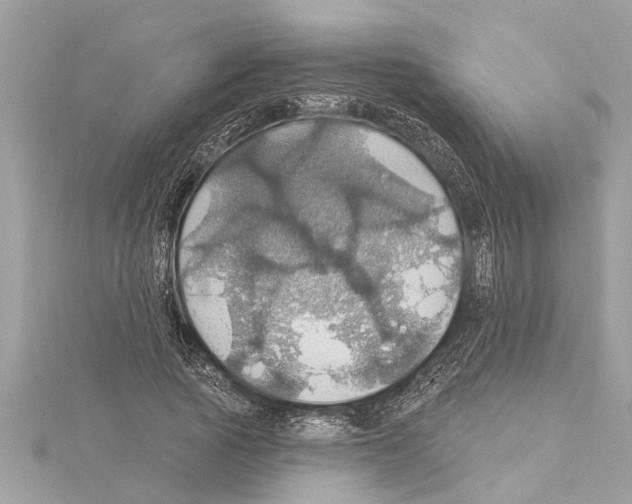 X0000114420737200911271556