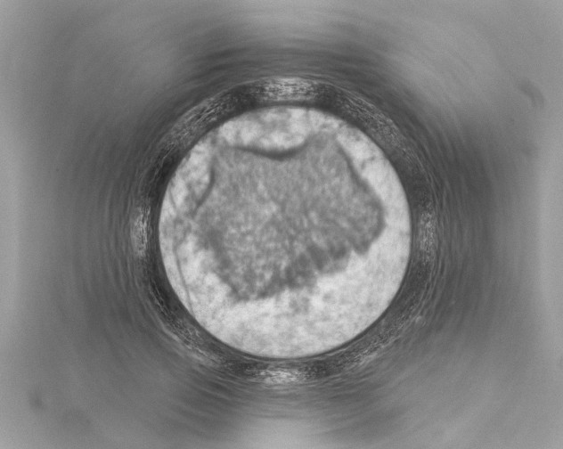 X0000114420741200911271556