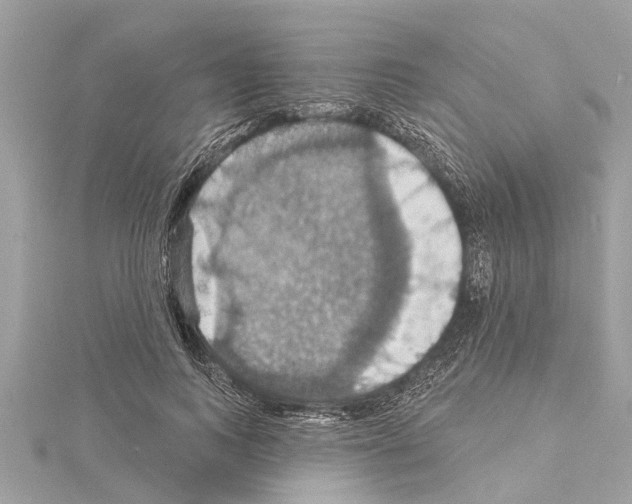 X0000114420743200911271556