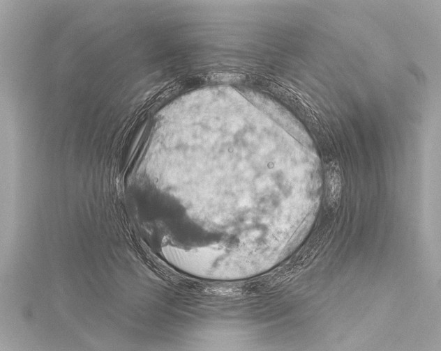 X0000114420745200911271556