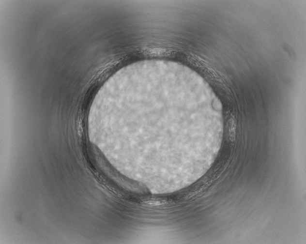X0000114420746200911271556