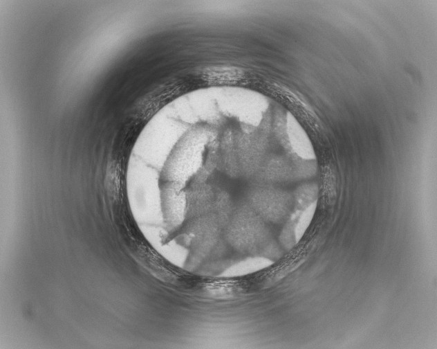 X0000114420761200911271556