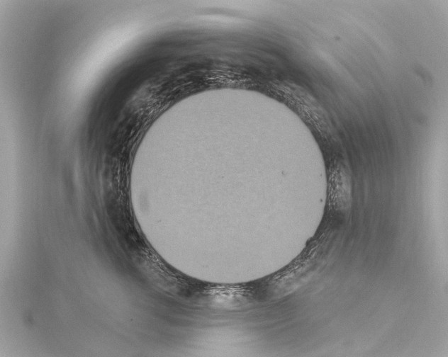 X0000114420762200911271556