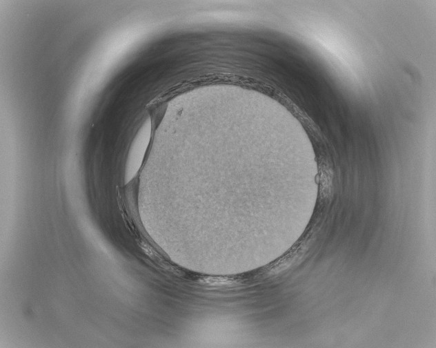 X0000114420766200911271556