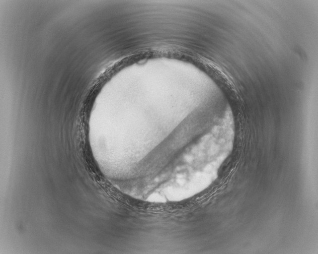 X0000114420776200911271555