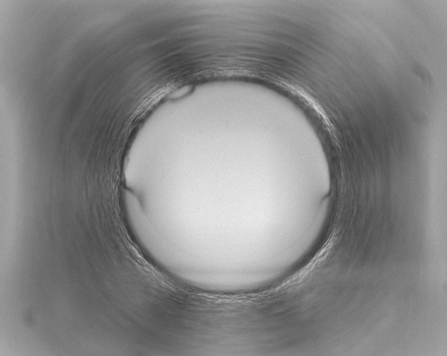 X0000114420785200911271555