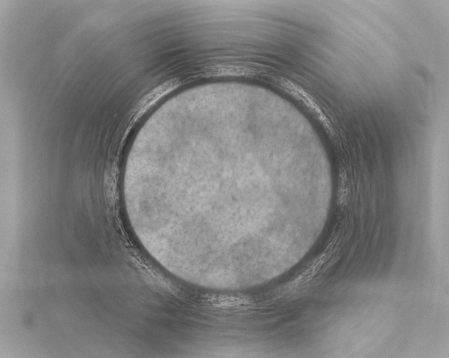 X0000114420786200911271555