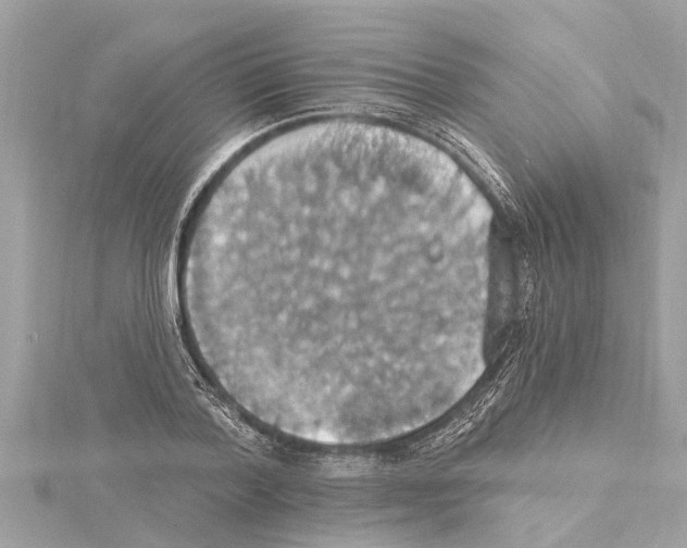 X0000114420788200911271555