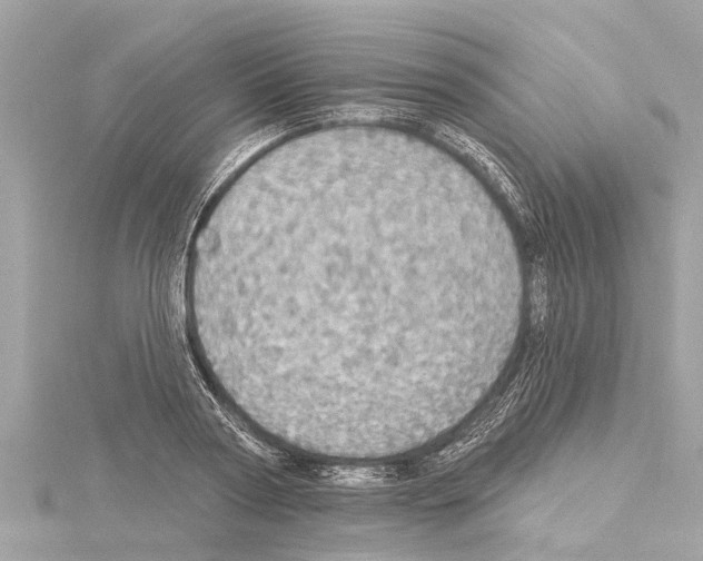X0000114420794200911271555