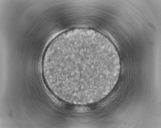 X0000114420795200911271555