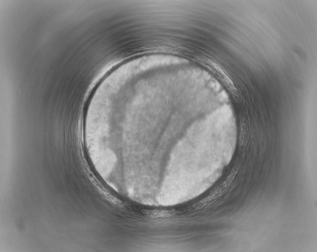 X0000114420796200911271555