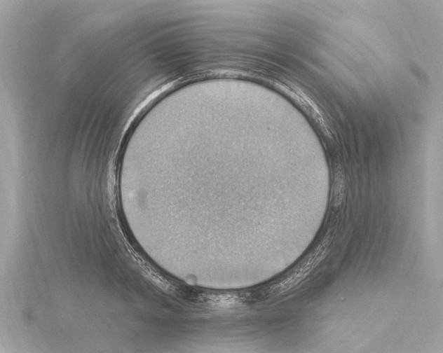 X0000114420798200911271555