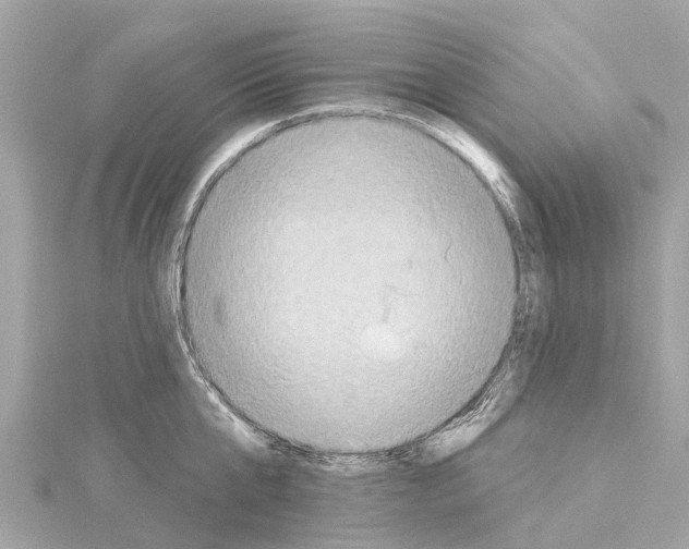 X0000114420807200911271555