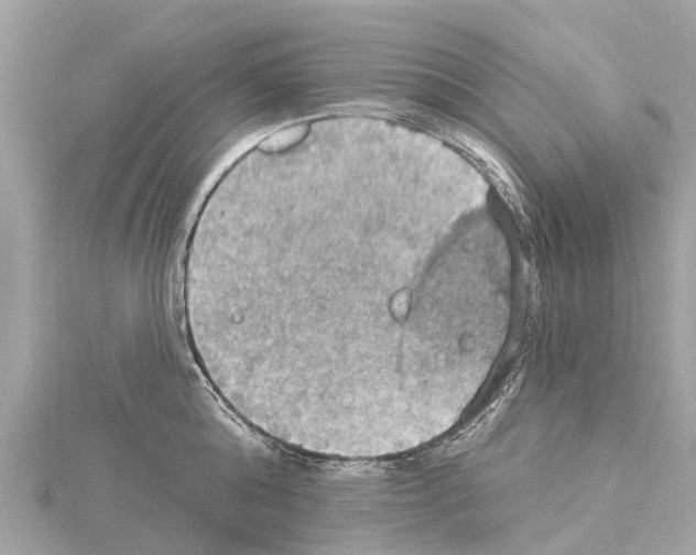 X0000114420808200911271555