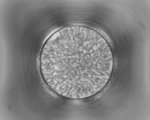 X0000114420814200911271555