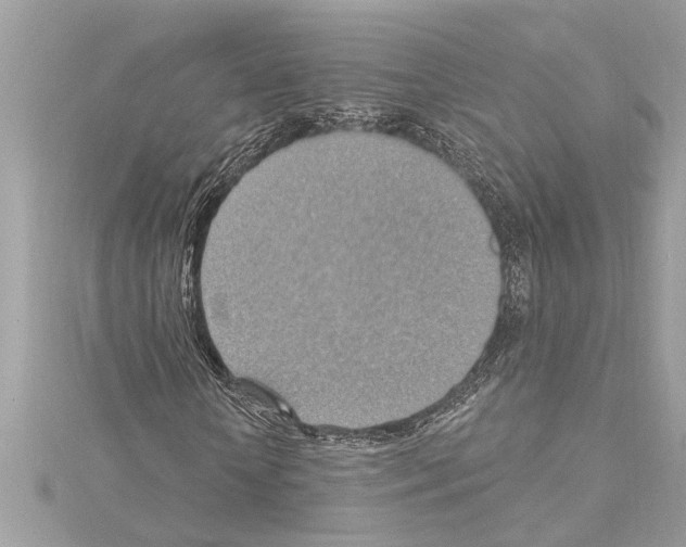 X0000114420818200911271554