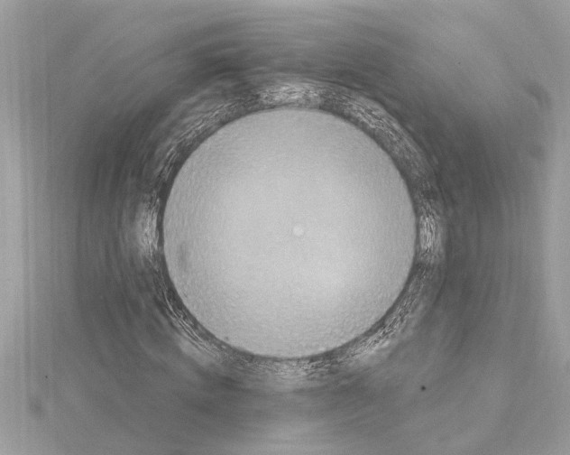 X0000114420820200911271554