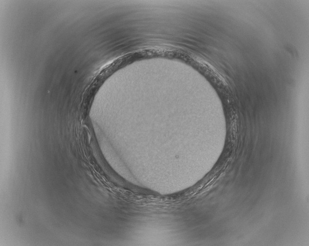 X0000114420822200911271554