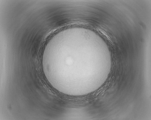 X0000114420824200911271554