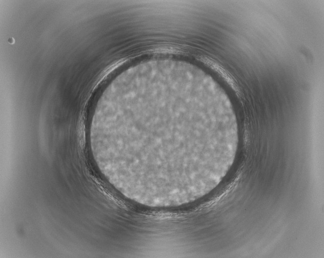 X0000114420829200911271554