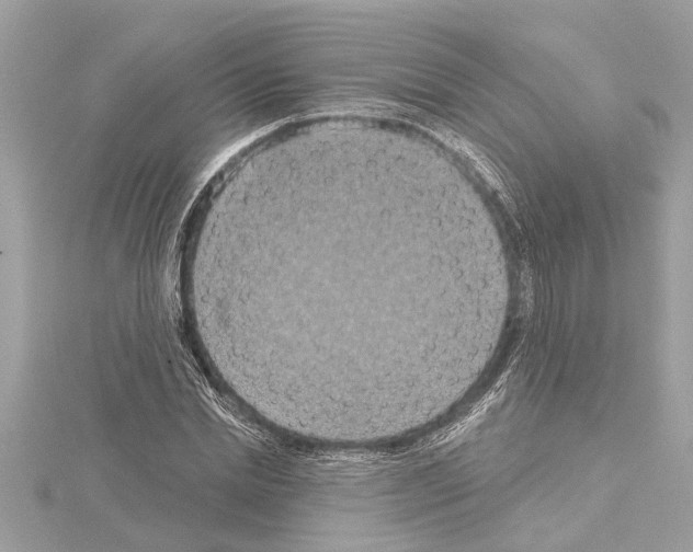 X0000114420830200911271554
