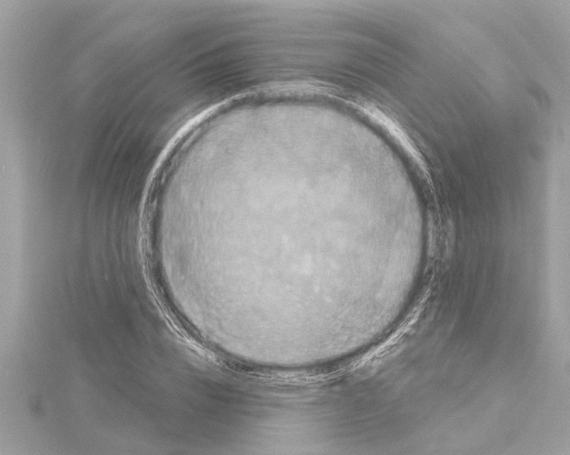 X0000114420832200911271554