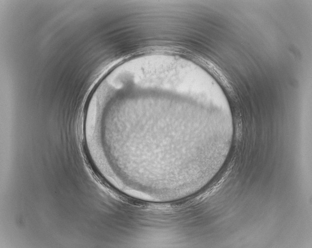 X0000114420844200911271555